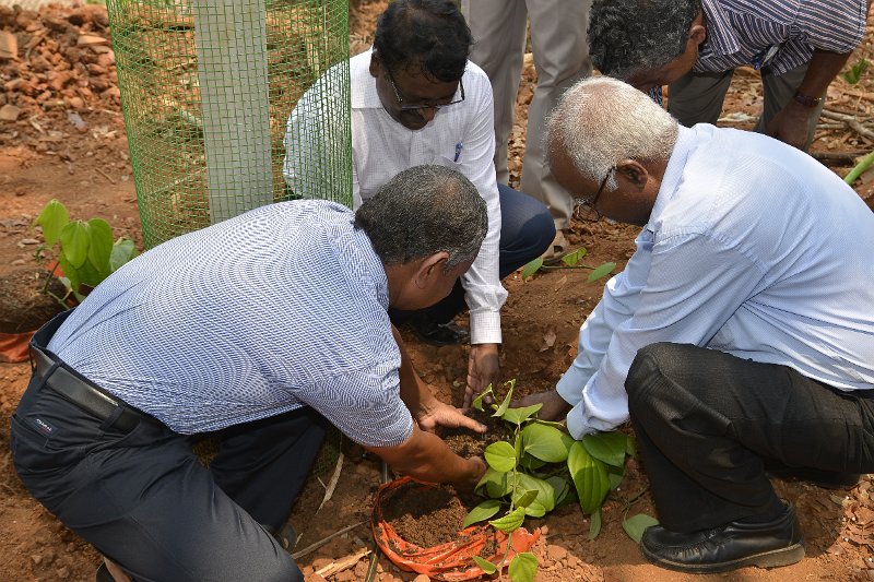 03Apr2014_00040 (99).JPG